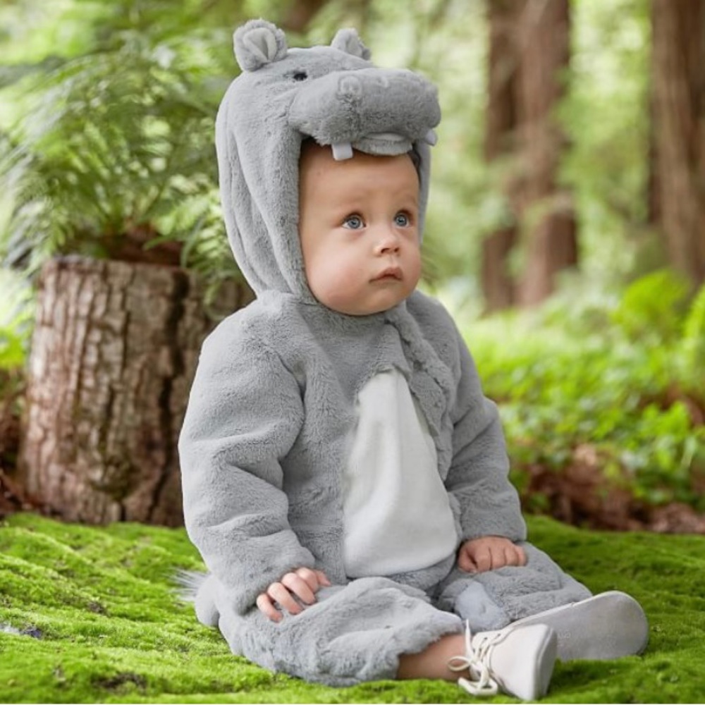Pottery Barn | Baby Hippo Halloween Costume 🦛 | 12-24 months | New with tags